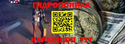 прущие грибы Заводоуковск