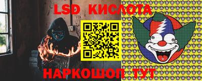 прущие грибы Заводоуковск