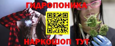 прущие грибы Заводоуковск