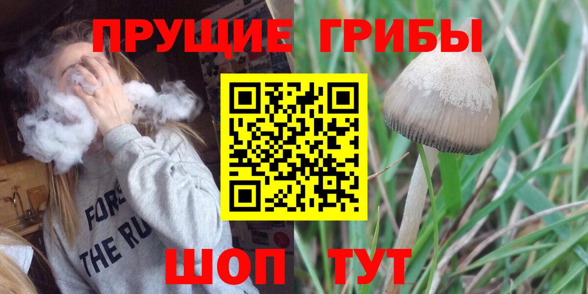 Галлюциногенные грибы GOLDEN TEACHER Лабинск