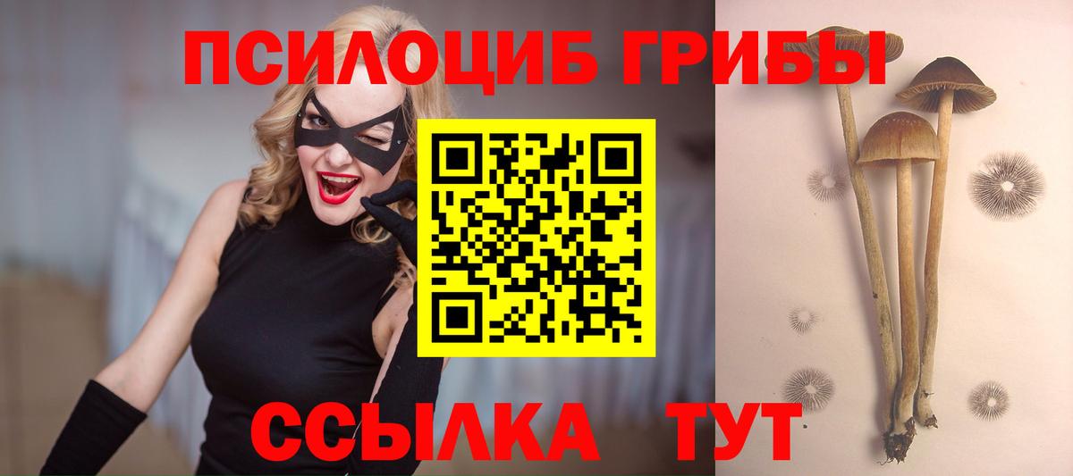 Галлюциногенные грибы Cubensis  Псилоцибиновые грибы мицелий  Вход с VPN  Лабинск 